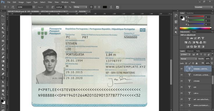 8e77ae4461fbf8144eca0fcddf136850 psd templates passport