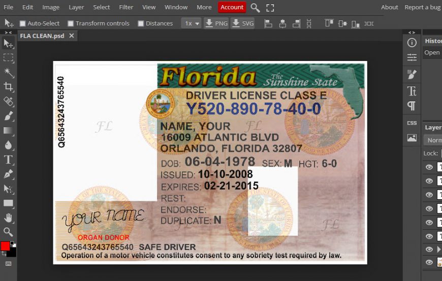 Florida Driver License Template Free Download