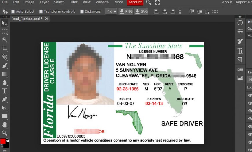 Florida Driver License Template package – psd files