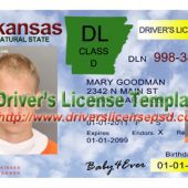 Arkansas Drivers License – PSD photoshop file