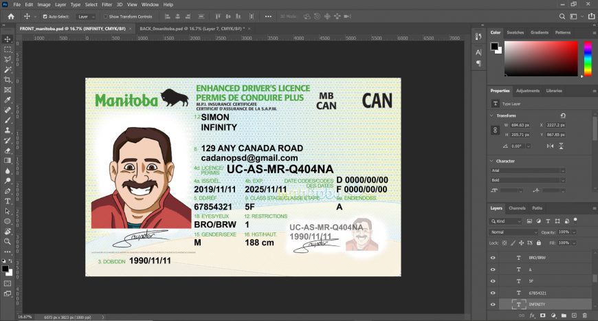 Manitoba Canada driver license Psd Template Free Download