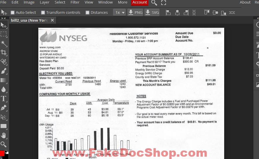 New York Utility Bill psd Template - NYSEG 1 New York Utility Bill psd Template