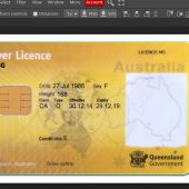 Queensland, Australia Driving License Template