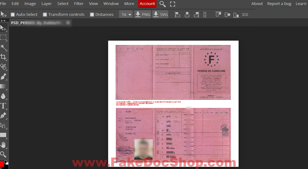 France Driving Licence Template in PSD format v1 1 France Driving Licence Template old version