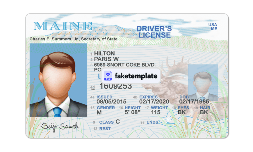 Maine Driver Licence Template