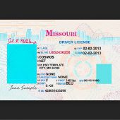 Missouri Drivers License Template In PSD Format