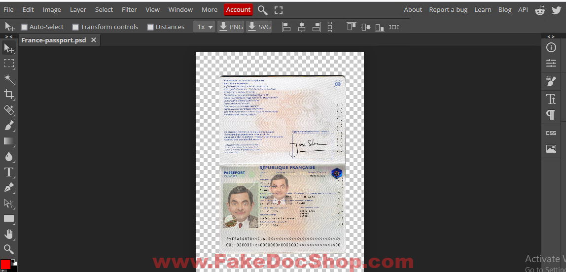france passport template in psd format