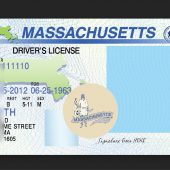 Massachusetts Driver License Template In PSD Format
