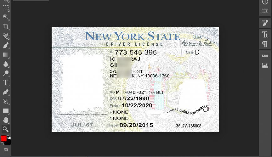 New York Drivers License Template In Psd Format