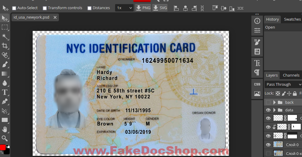 US Fake Id card New york Psd