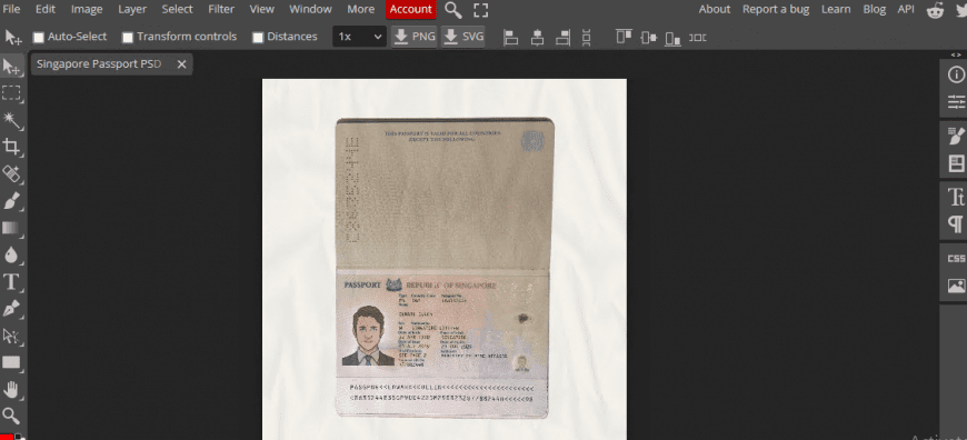 Singapore Passport Template Psd
