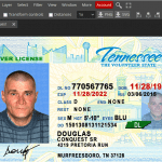 Tennessee Drivers License Psd template