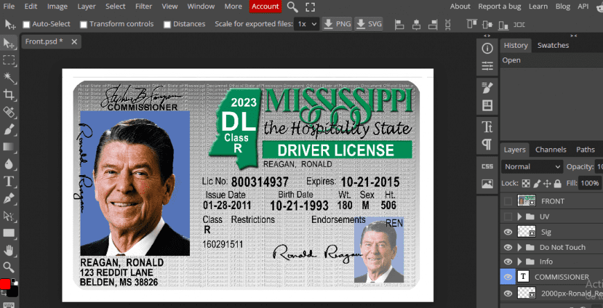 Minnesota driving license psd template