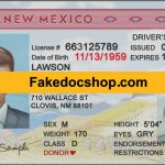 New Mexico Drivers License PSD Template Download