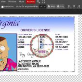 Virginia Drivers License Template psd (v2009) Free Download