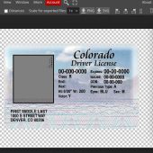 Free Download Colorado Drivers License Template Psd – Colorado ID Card