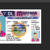 Free download Montana Drivers License PSD Template v1