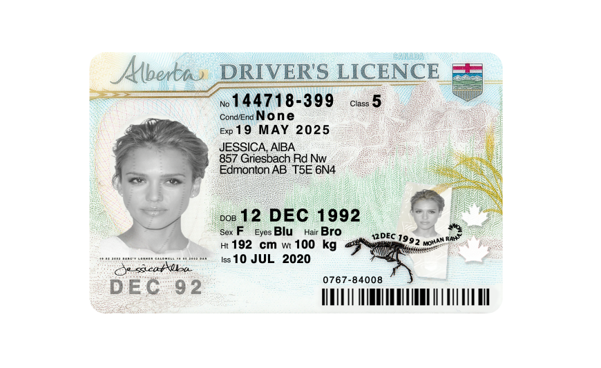 Canada Alberta Driver License PSD Template Fakedocshop Canada Alberta Driver License PSD Template Fakedocshop