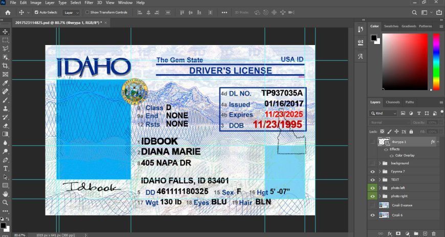 Idaho Driver license template psd