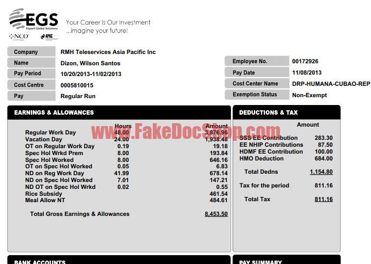 EGS Company Pay Stub Template