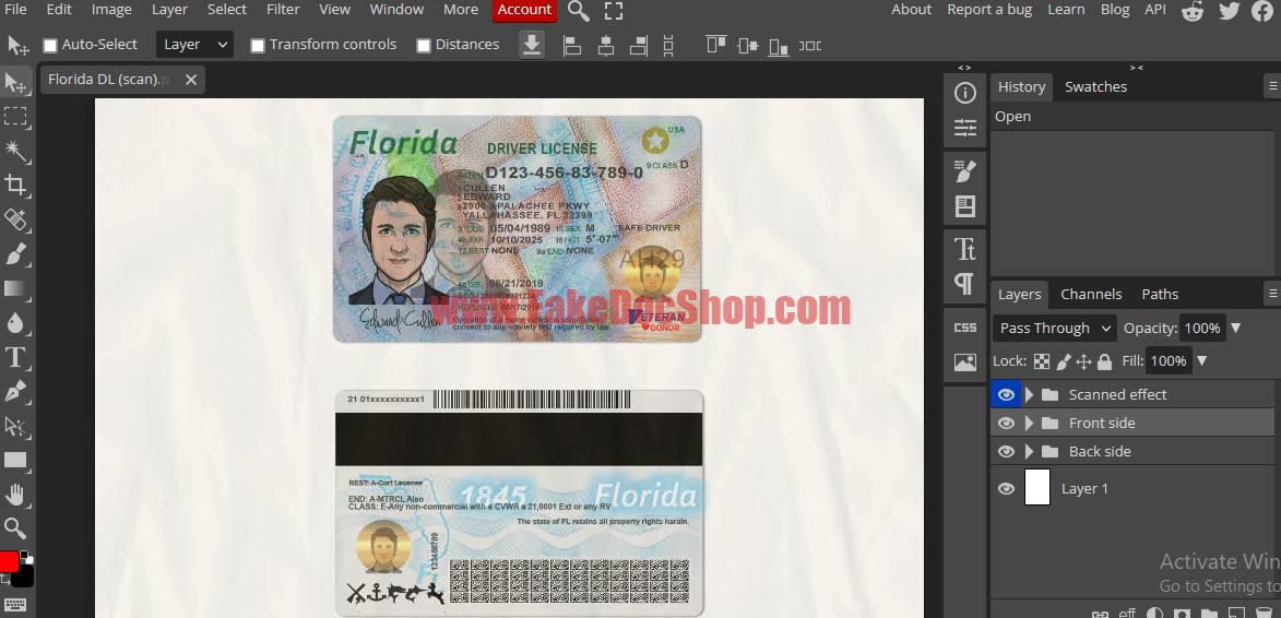 Florida Driver License Template psd