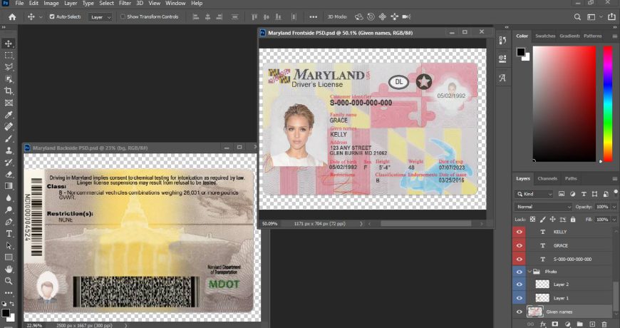 Maryland Driver License Template in PSD Format