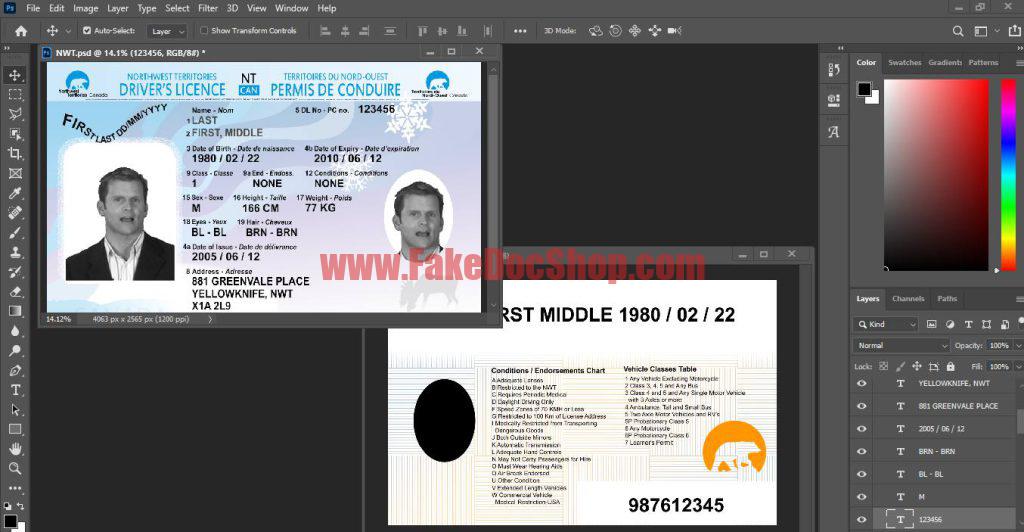 driving licence psd template