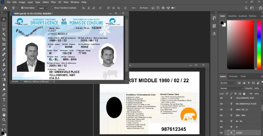 NWT Canada Driving licence psd template