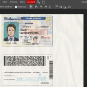 Delaware Drivers License Template PSD new