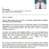 Indian AirCraft Resume Template