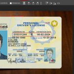 Louisiana Driver License Template In PSD Format