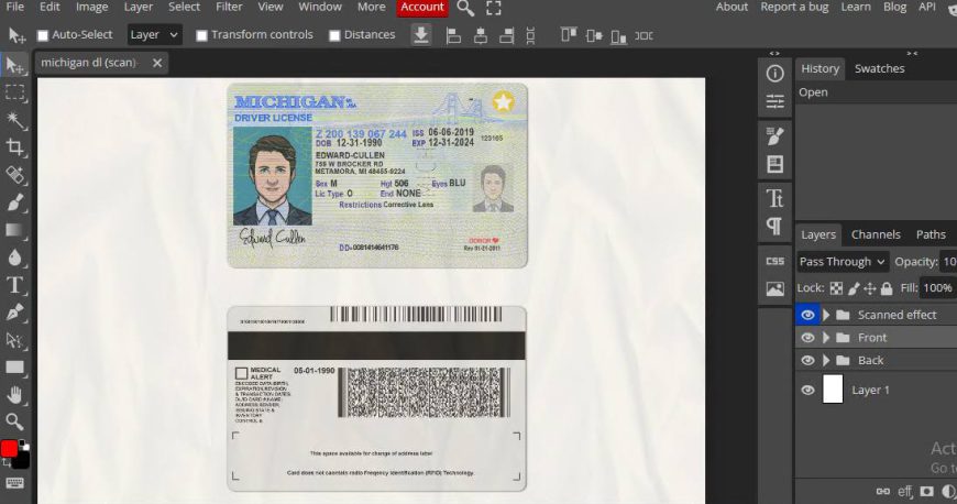 Michigan driver license template psd format