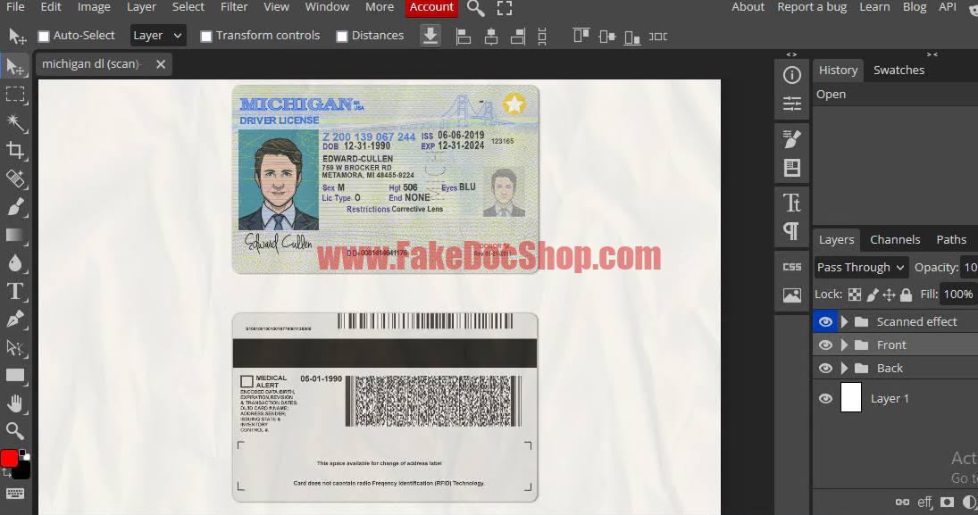 Michigan driver license template psd format