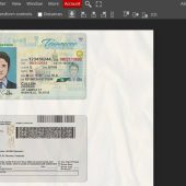 Tennessee Driving Licence PSD Template