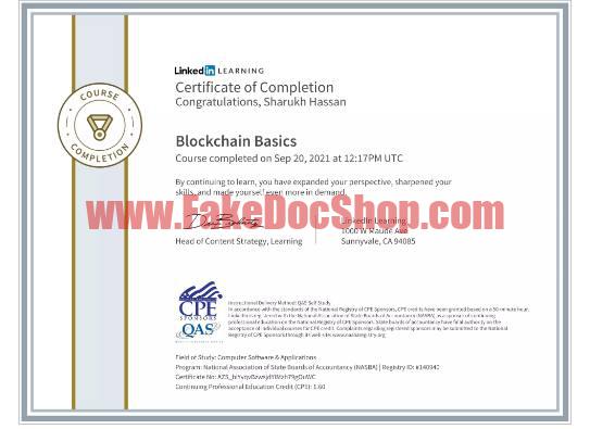 Blockchain Basics Certification template