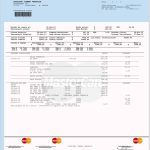 Master Card Statement Template