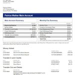 American Express Credit Card Statement Template