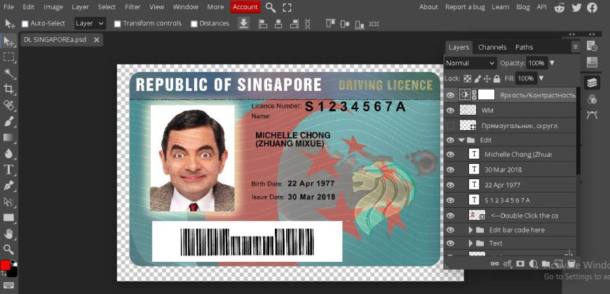 Singapore Driver License PSD