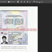 Ukraine Passport PSD Template