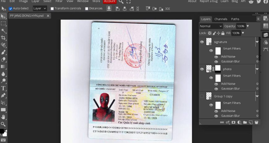 Vietnam Passport Psd Template