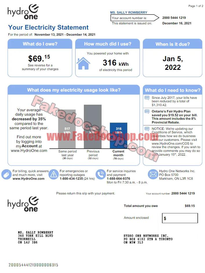 Canada Hydro One electricity bill Template