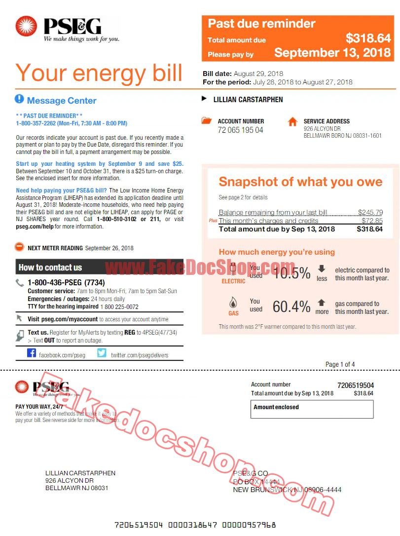 PSEG utility bill pdf template
