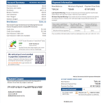 USA Discover Bank statement Template