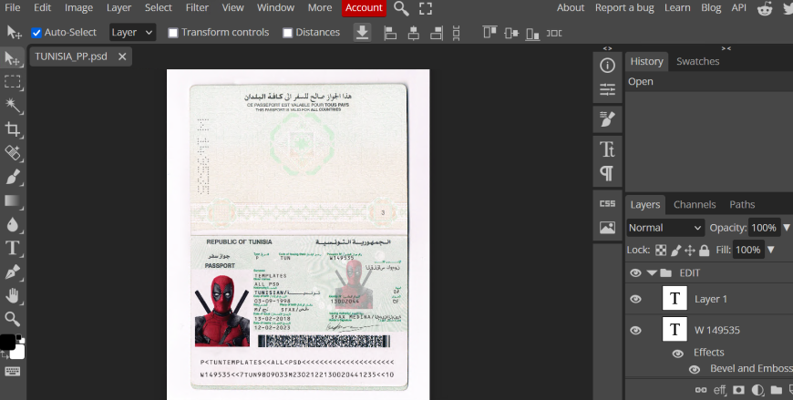 Tunisia Passport Template in Psd Format