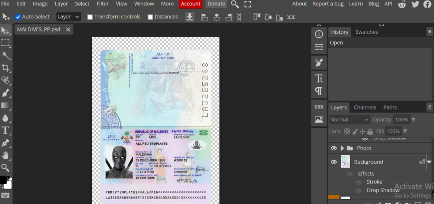 Authentic Maldives PSD Passport Template