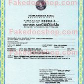 Indonesia Birth Certificate Template