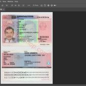 Germany residence permit card Psd Template New
