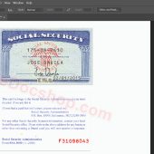 USA Blank SSN Card PSD Template Free Download