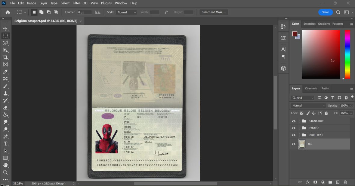 DOWNLOAD Belgium passport template in PSD format