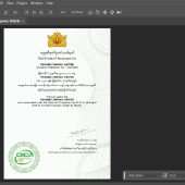 Myanmar business certificates template psd
